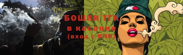 индика Балабаново
