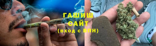 индика Балабаново