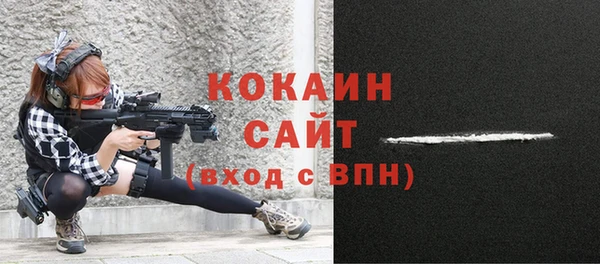 индика Балабаново