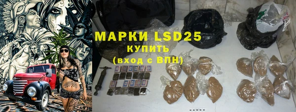 индика Балабаново