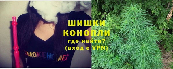 стаф Балахна
