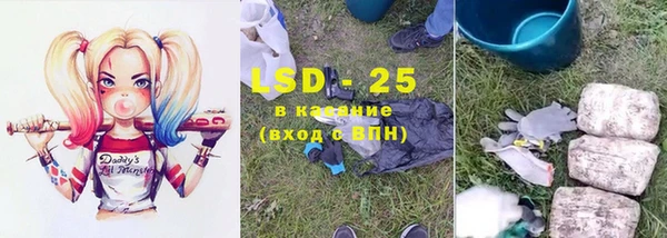 индика Балабаново