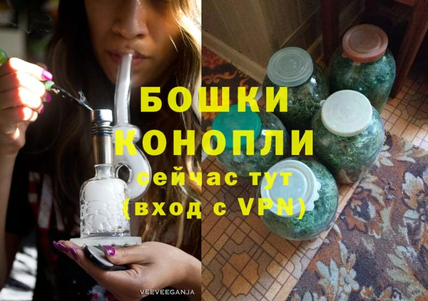 индика Балабаново