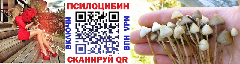 Галлюциногенные грибы мицелий  mega   Кубинка  продажа наркотиков 